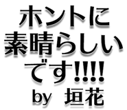 303076063