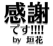 303076064