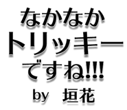 303076069