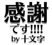 303076144