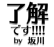 303076207