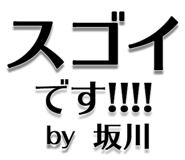303076209