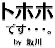 303076213