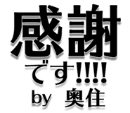 303076264