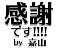 303076304