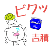 303076384