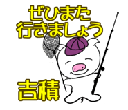 303076387