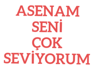303076412