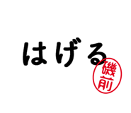 303076463