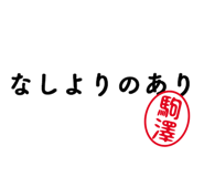 303077155