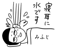 303078032