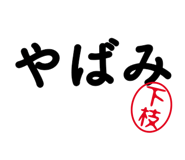 303078255