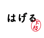 303078263