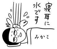 303078352
