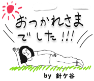303079534