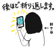 303079538