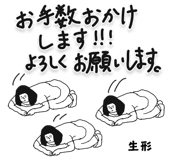 303079575