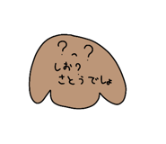 303080048