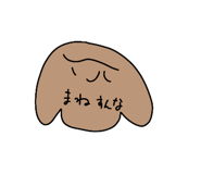 303080050