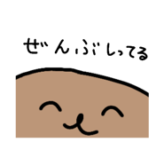 303080055