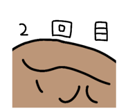 303080056