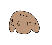 303080058