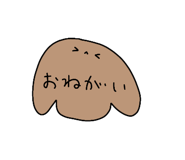 303080059