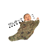 303080075