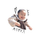 303080077