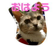 303080125