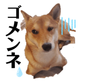 303080141