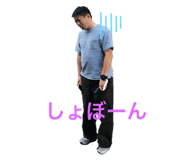 303080177