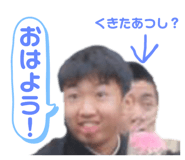 303080193