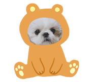 303080251