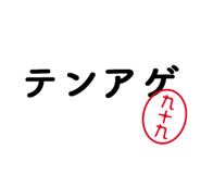 303080397