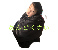 303080442