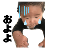 303080454