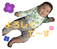 303080468
