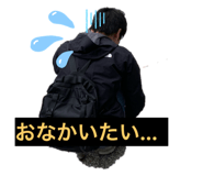 303080663