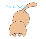 303080794