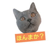 303080807