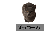 303080810