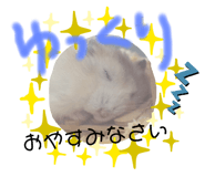 303080852