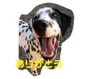 303080944