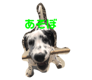 303080946