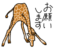 303080986