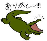 303080988