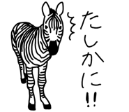 303081013