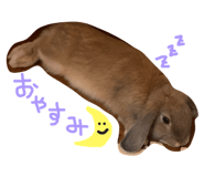 303081037