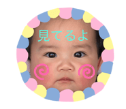 303081089